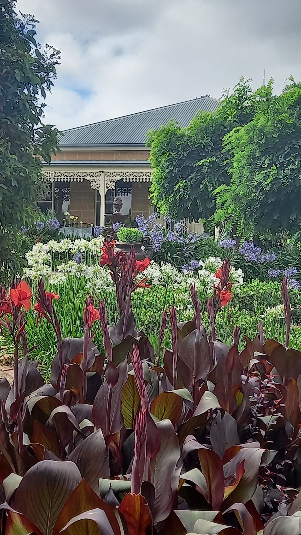 Open Garden: 'Itchy Palms Gardens' 