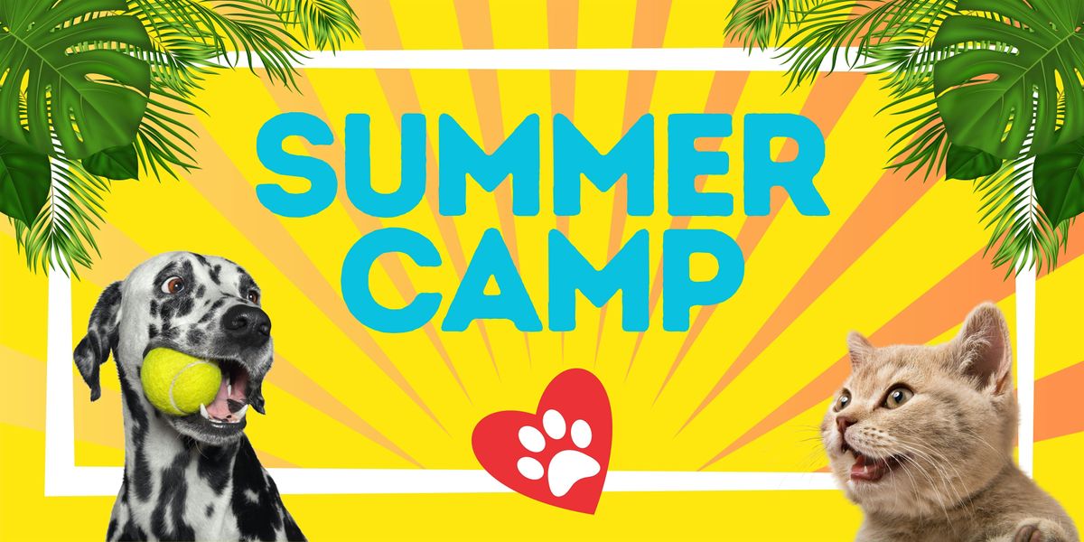 Summer Camp (Ages 6 - 8)