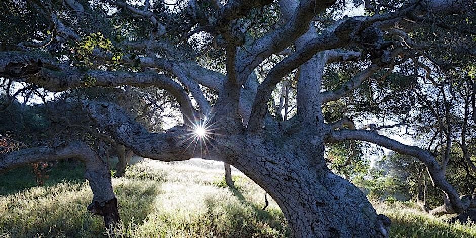 Mindfulness Tour at the Elkhorn Slough Reserve