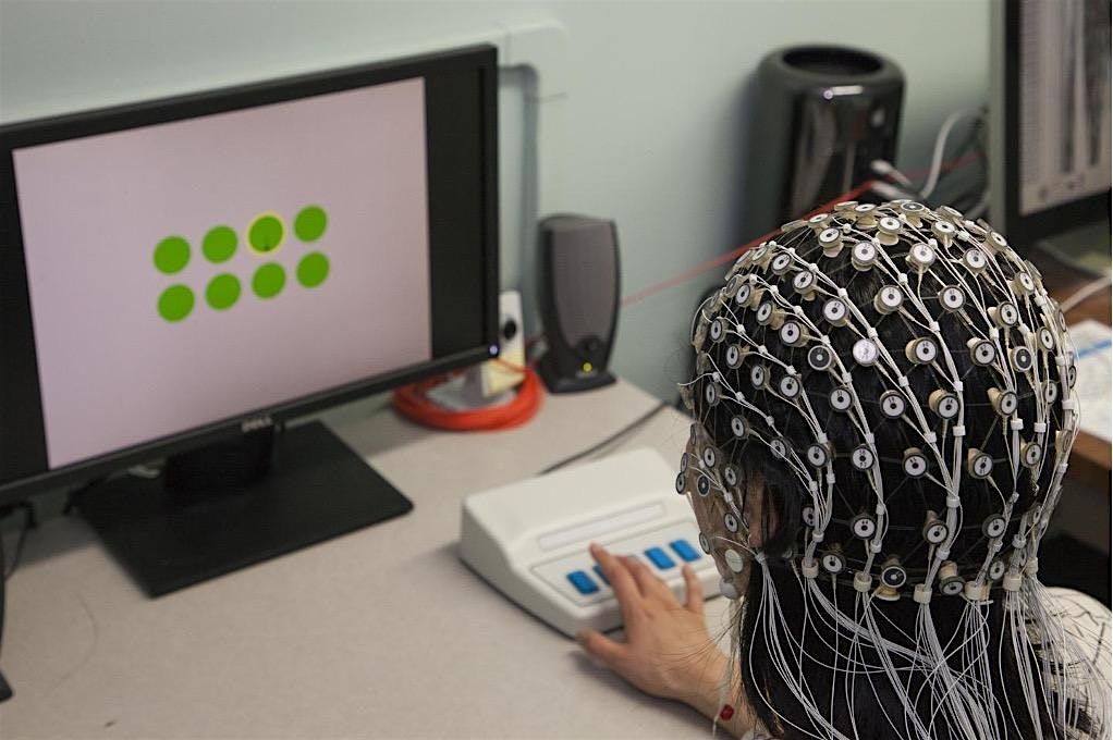EEG day: Neural Networking and Novel Methodologies