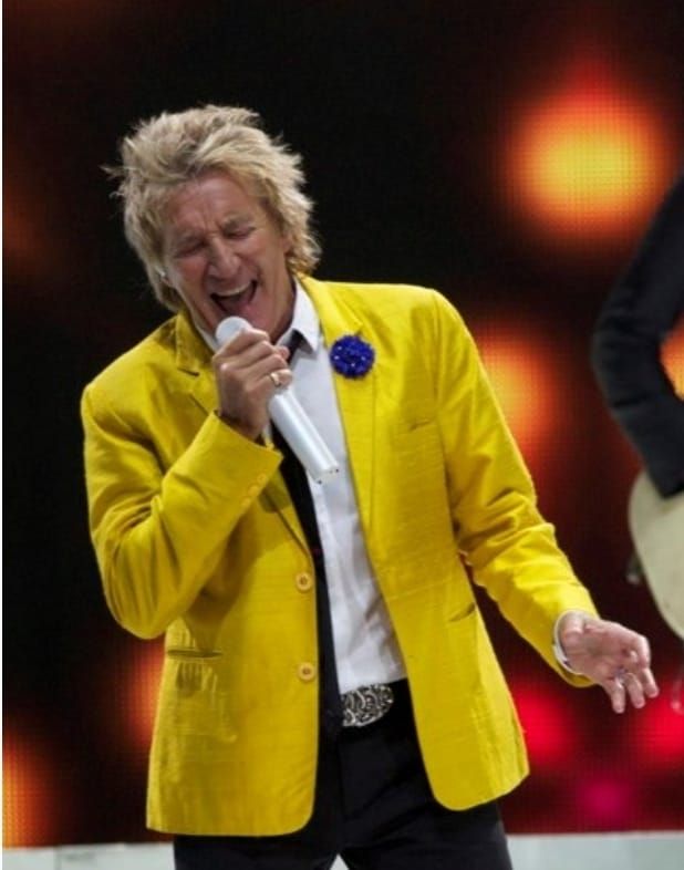 Rod Stewart (Tribute )