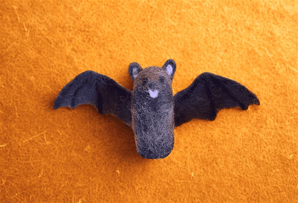 River Days and Nature Nights Build a Brown Bat Buddy