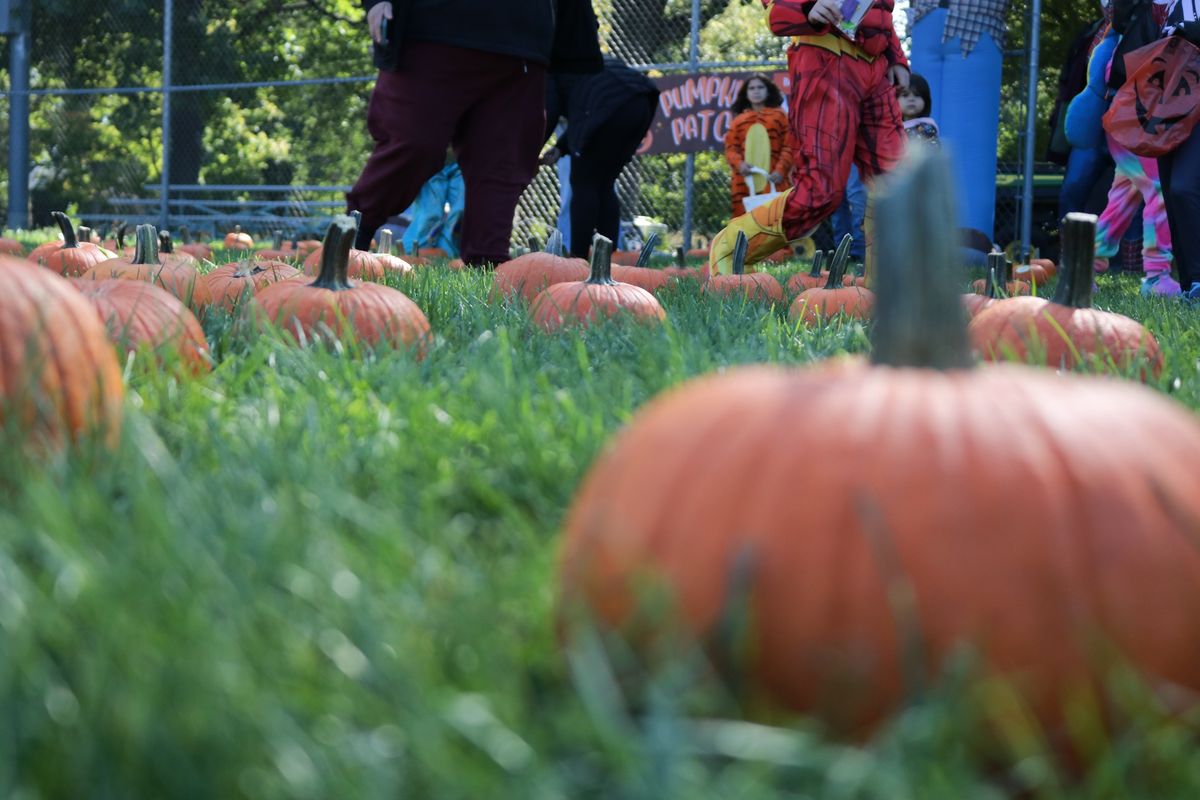 Spooktacular Trick or Treat