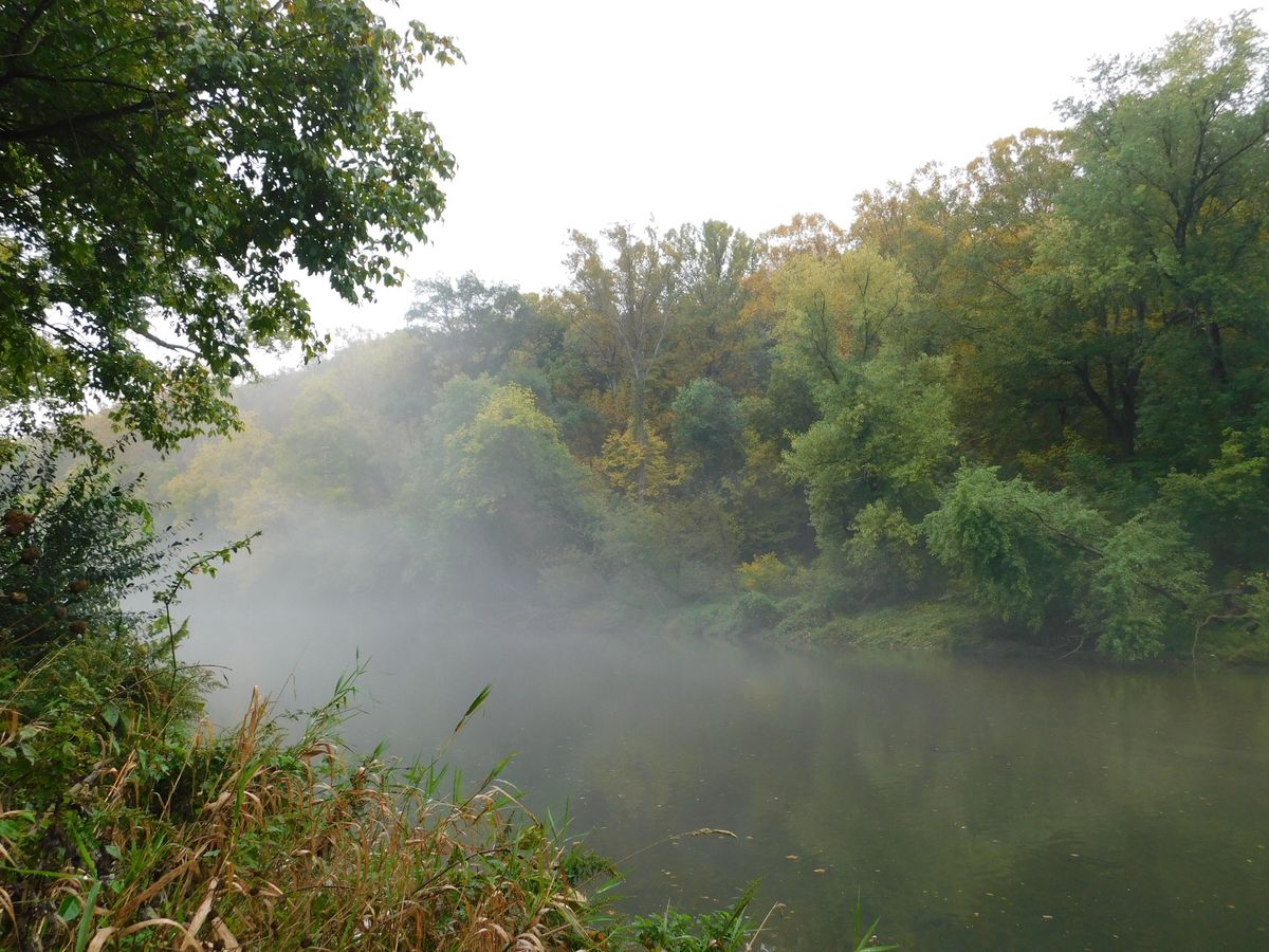 Legend of the Brandywine Werewolf