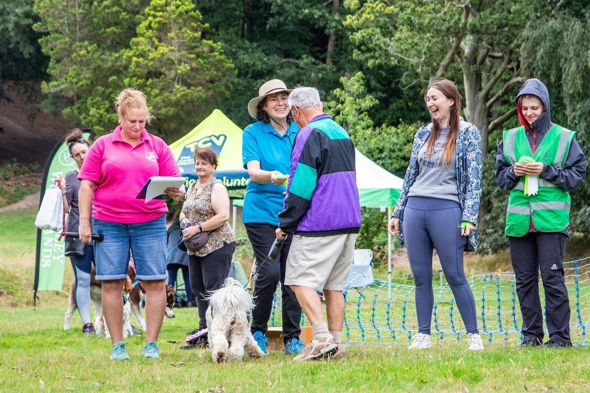 Wellesley Woodlands Dog Show 2024, Wellington Statue Car Park