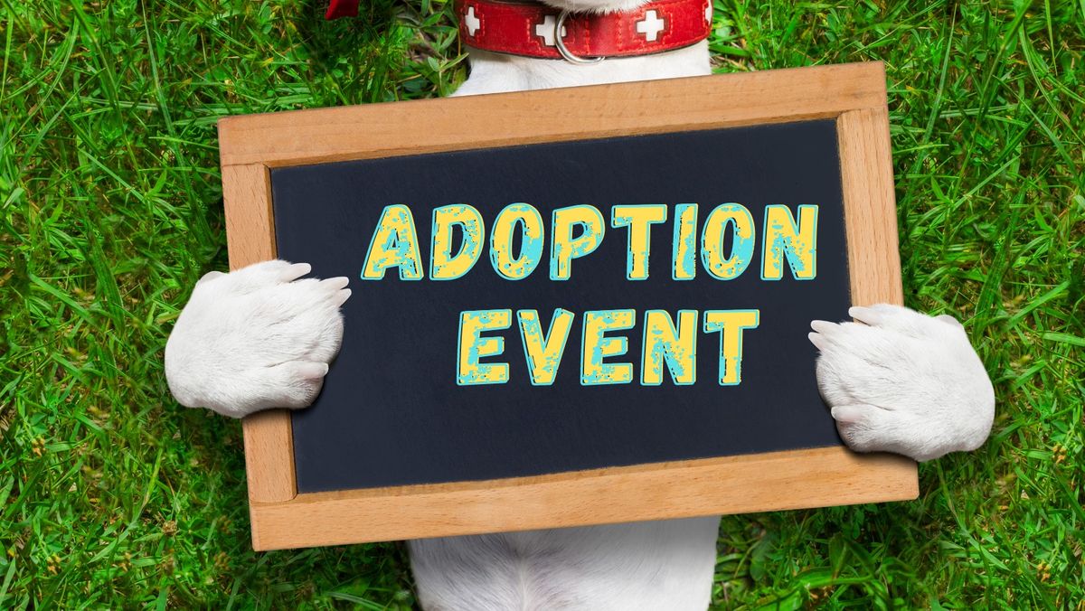 Rochester Animal Services Adoption Event