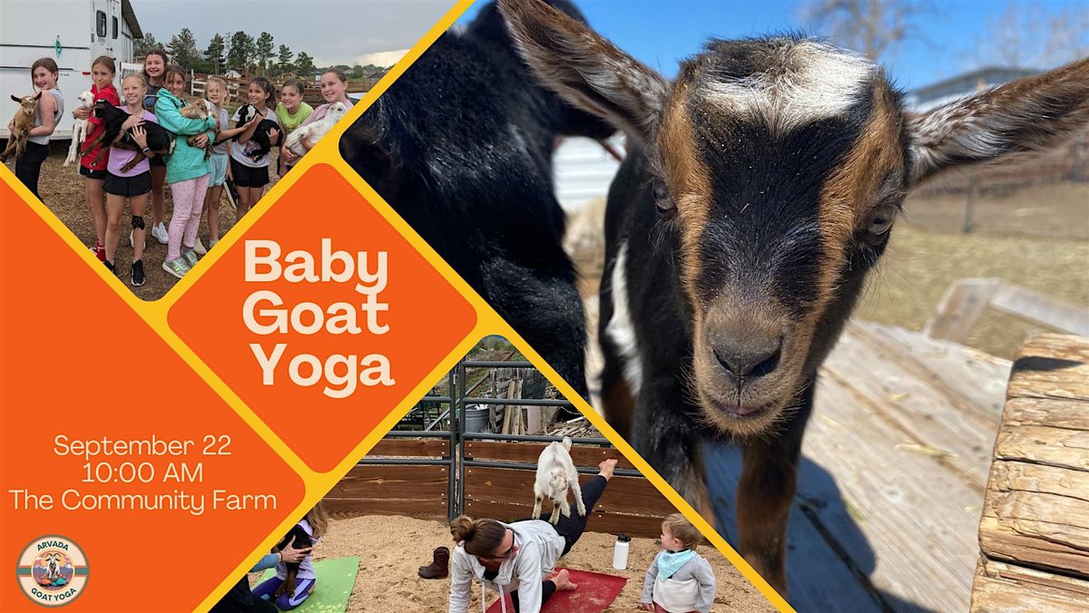 Baby Goat Yoga