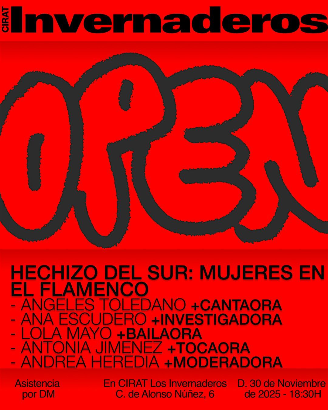 Hechizo del Sur: Mujeres en el Flamenco