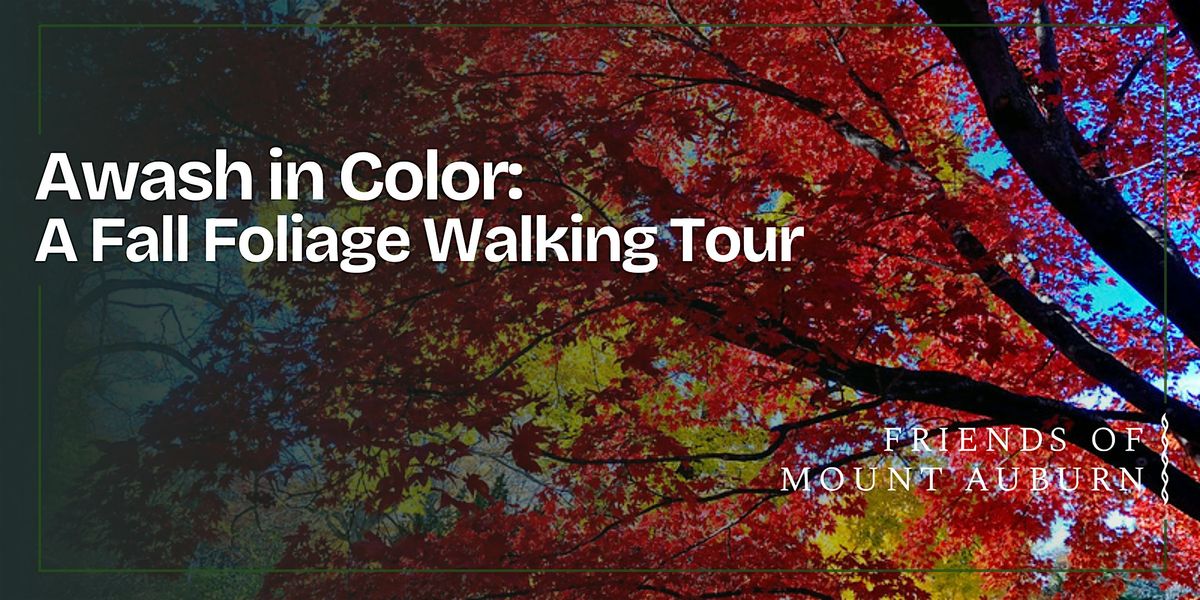 Awash in Color: A Fall Foliage Walking Tour