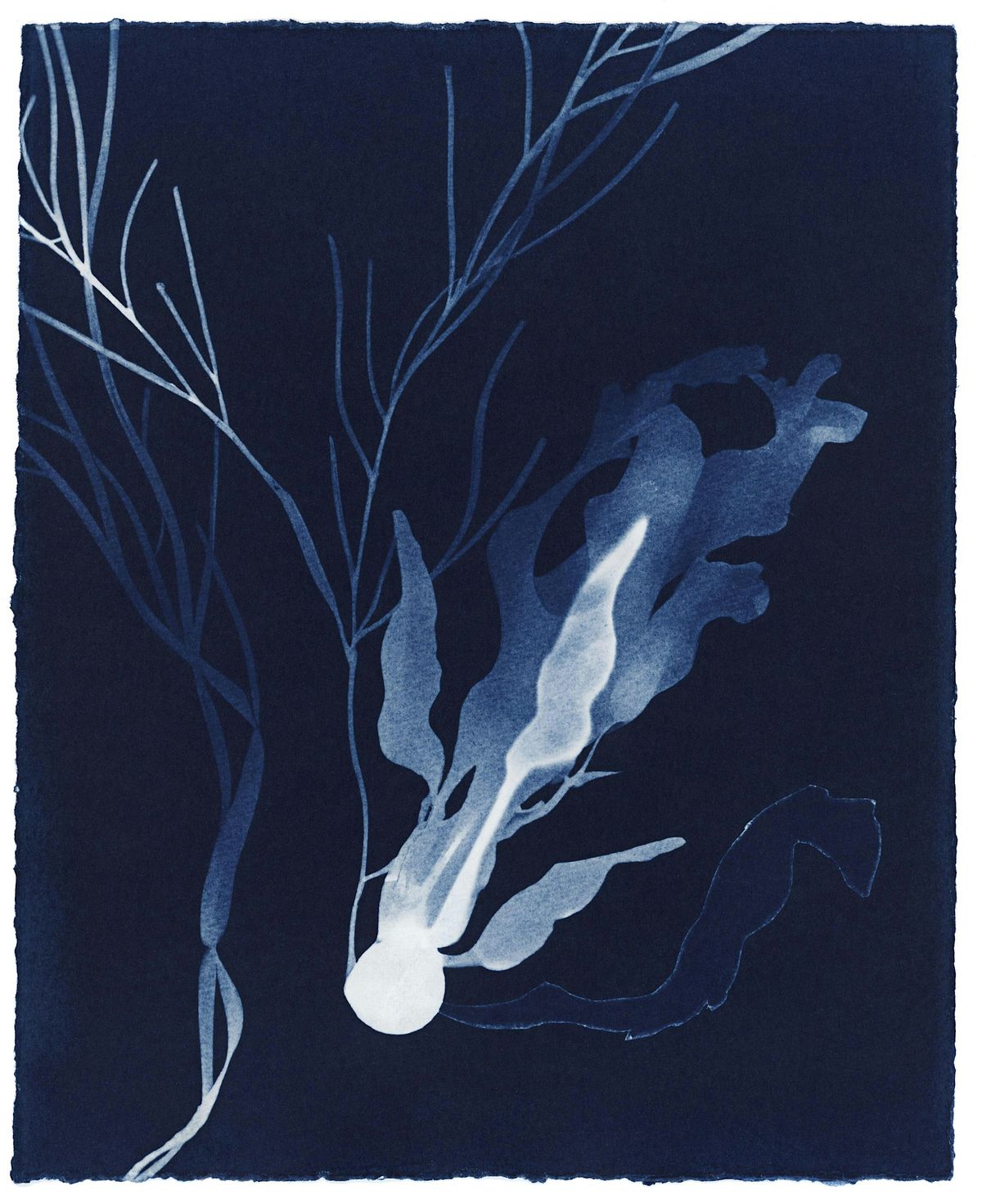 AI + Cyanotype experimental printing workshop