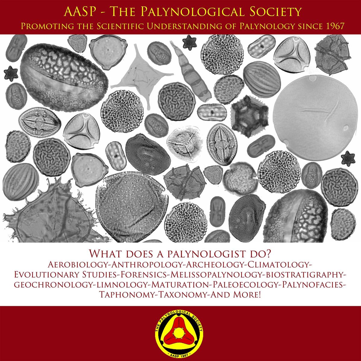 AASP-The Palynological Society 57th Annual Meeting