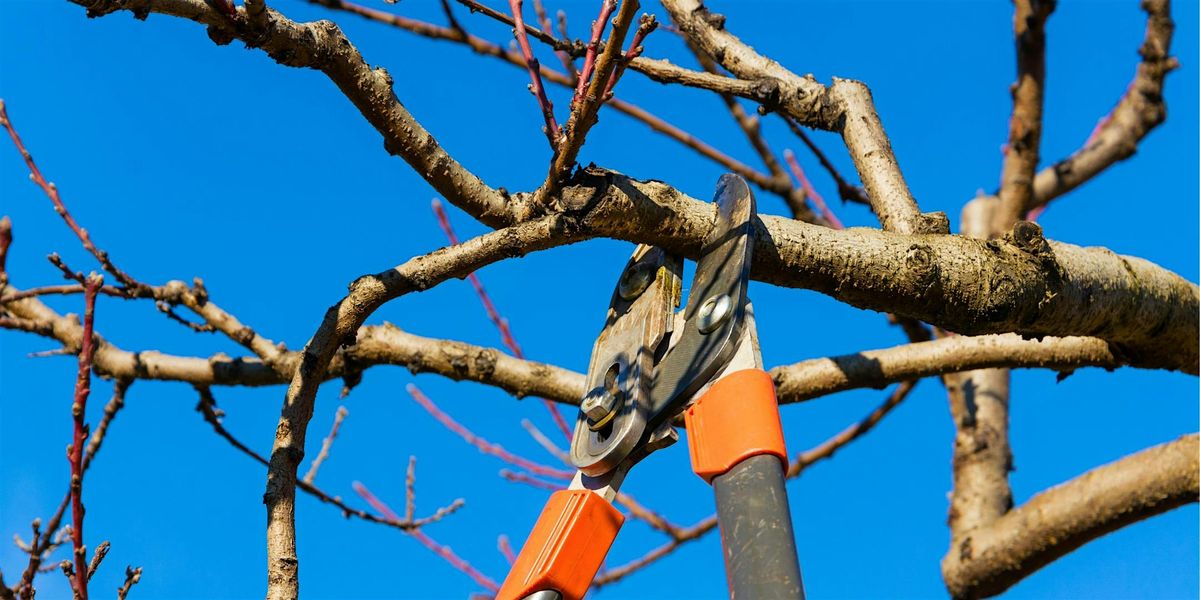 Late Season Pruning Deciduous Trees & Shrubs Seminar