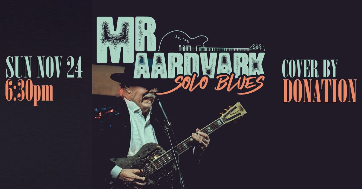 Mr. Aardvark - Solo Blues