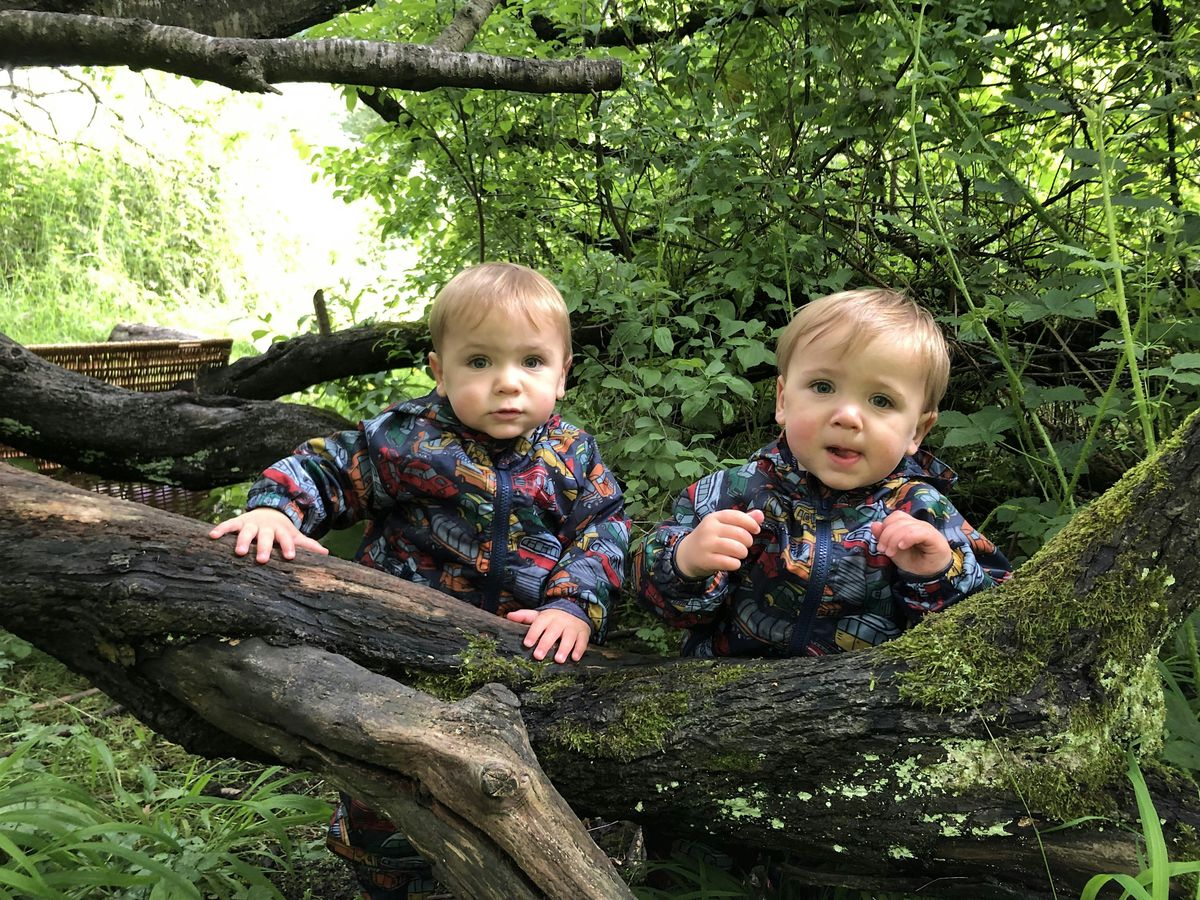 Nature Tots - Windsor Great Park, Friday 17 January