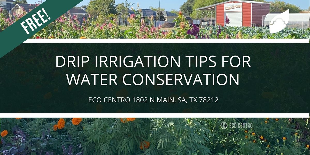 Drip Irrigation Tips