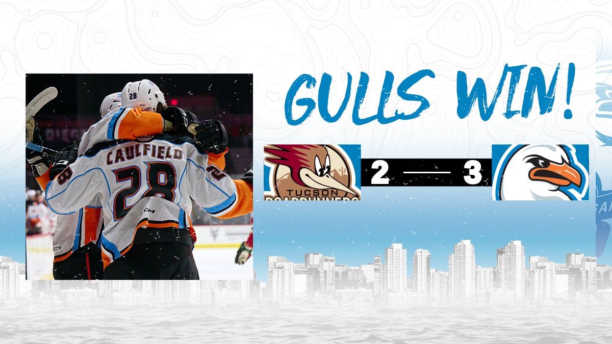 San Diego Gulls vs. Tucson Roadrunners