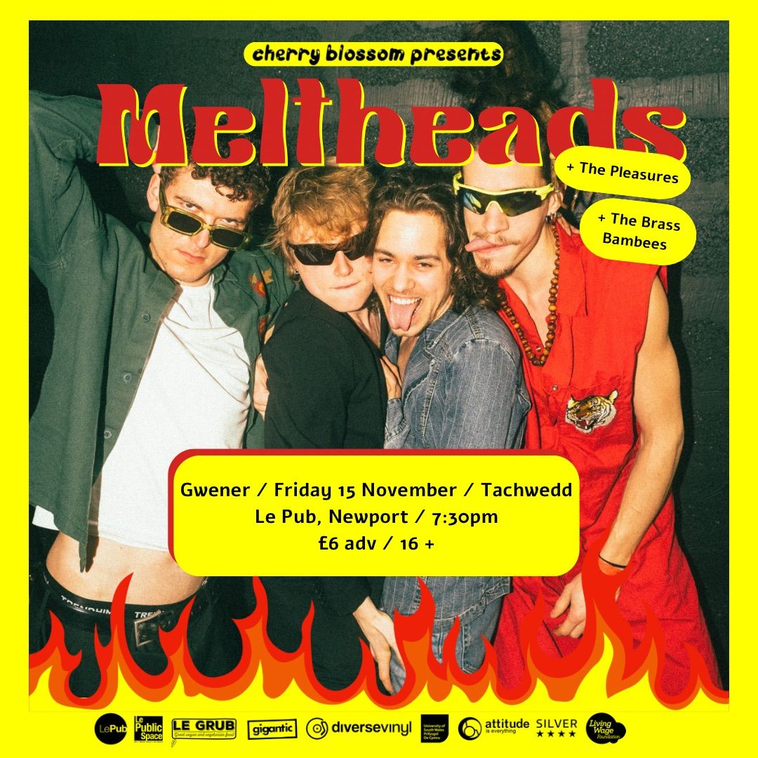 Meltheads \/ The Pleasures \/ The Brass Bambees