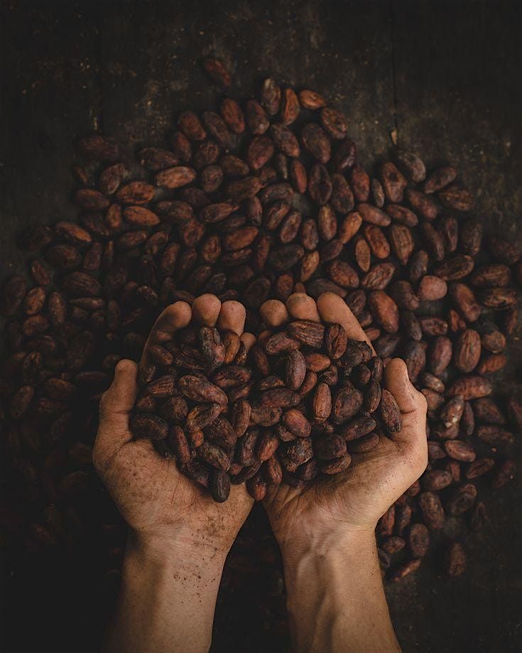 Heart Medicine Altar | a community cacao ritual