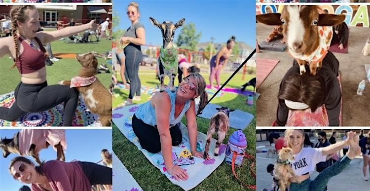 Goat Yoga McKinney @ Tupps!