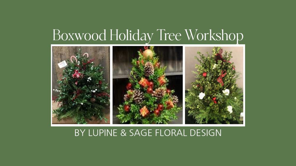 Boxwood Holiday Tree Workshop