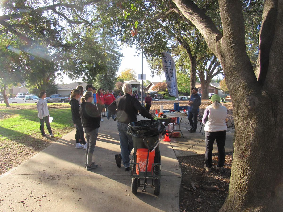 Beer & Cupcake Pairing , Final Gravity Roseville, CA, 11 February 2023