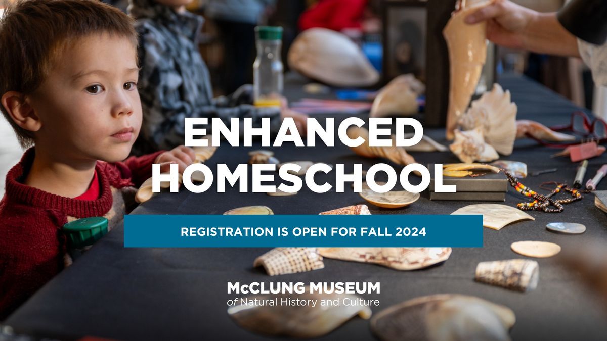 Enhanced Learning Homeschool Programs: Fall 2024