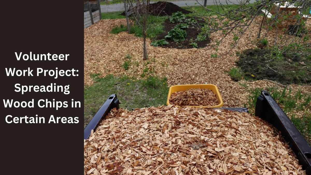 Volunteer Work Project: Spreading Wood Chips in Certain Areas