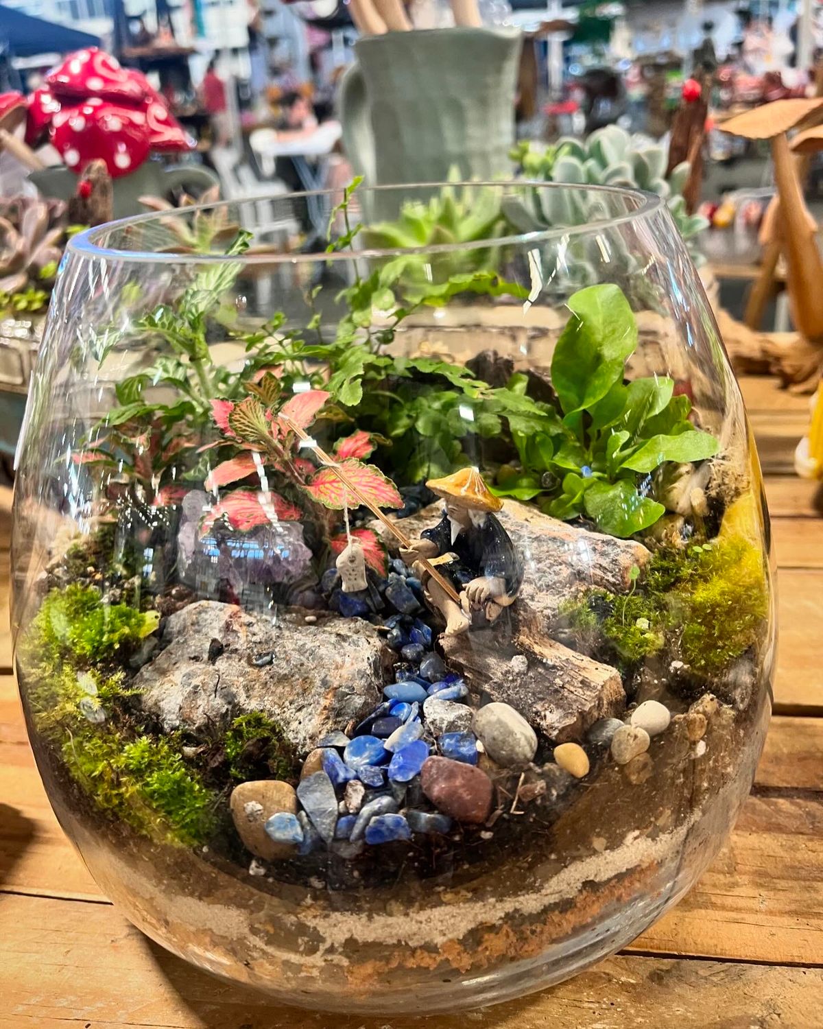 Mid Morning Terrarium Workshop