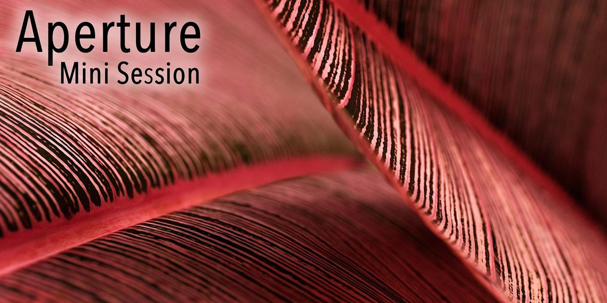 Aperture Mini Session - In Store - Roseville CA