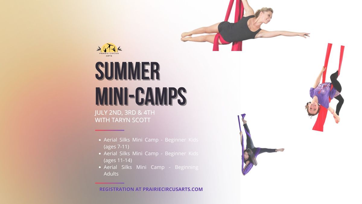 PCA: Summer Mini-Camps