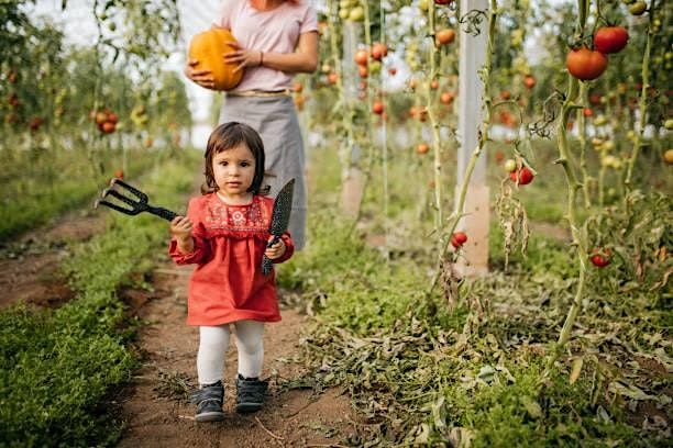 Parent & Toddler-  Seasonal Gardening Club