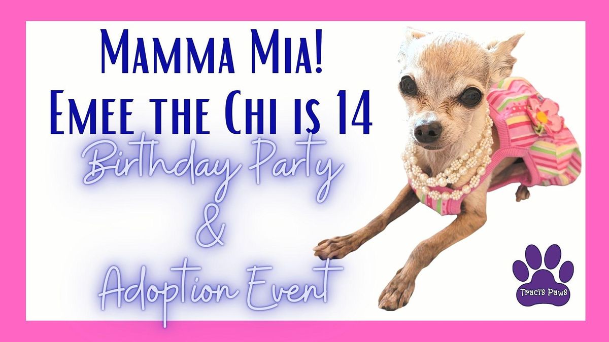 MAMMA MIA! Emee the Chi is 14, Birthday PAWty &  Adoption Event!
