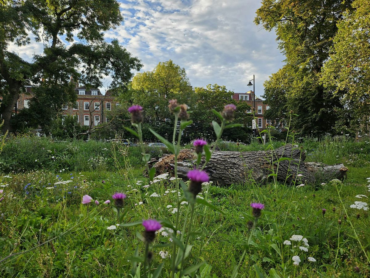 The Clapham Common Guided Walk (FREE but donations go to charity)