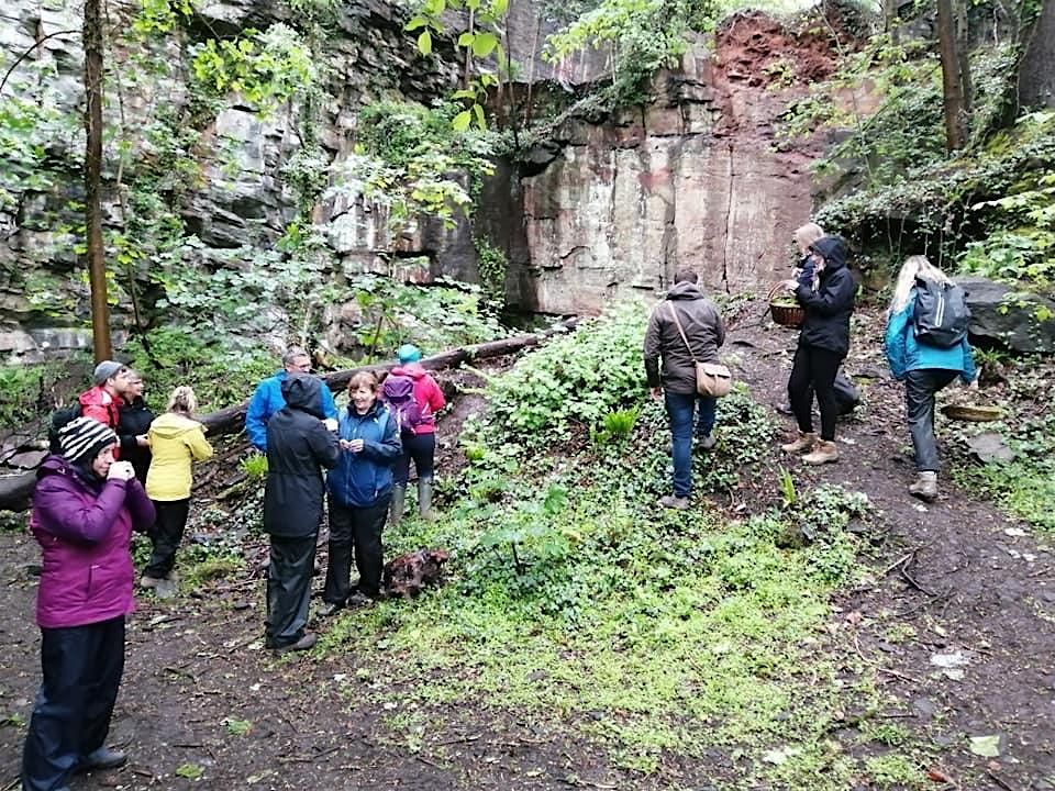 Fossils  and Geology of the Frome