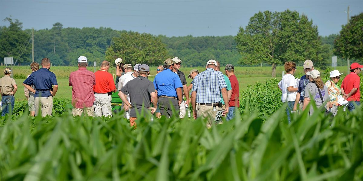 Plant Diease and Insect Clinic