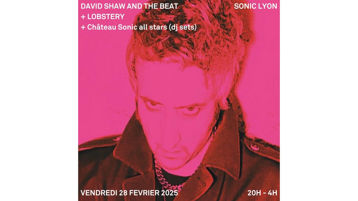 DAVID SHAW AND THE BEAT + LOBSTERY + Ch\u00e2teau Sonic all stars (dj sets) AU SONIC LYON