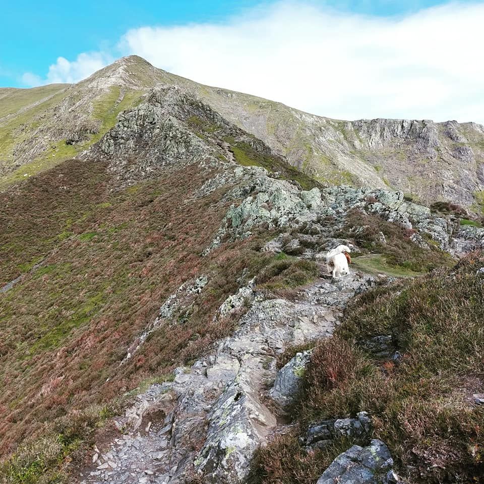 Blencathra: A Grand Scale Trail