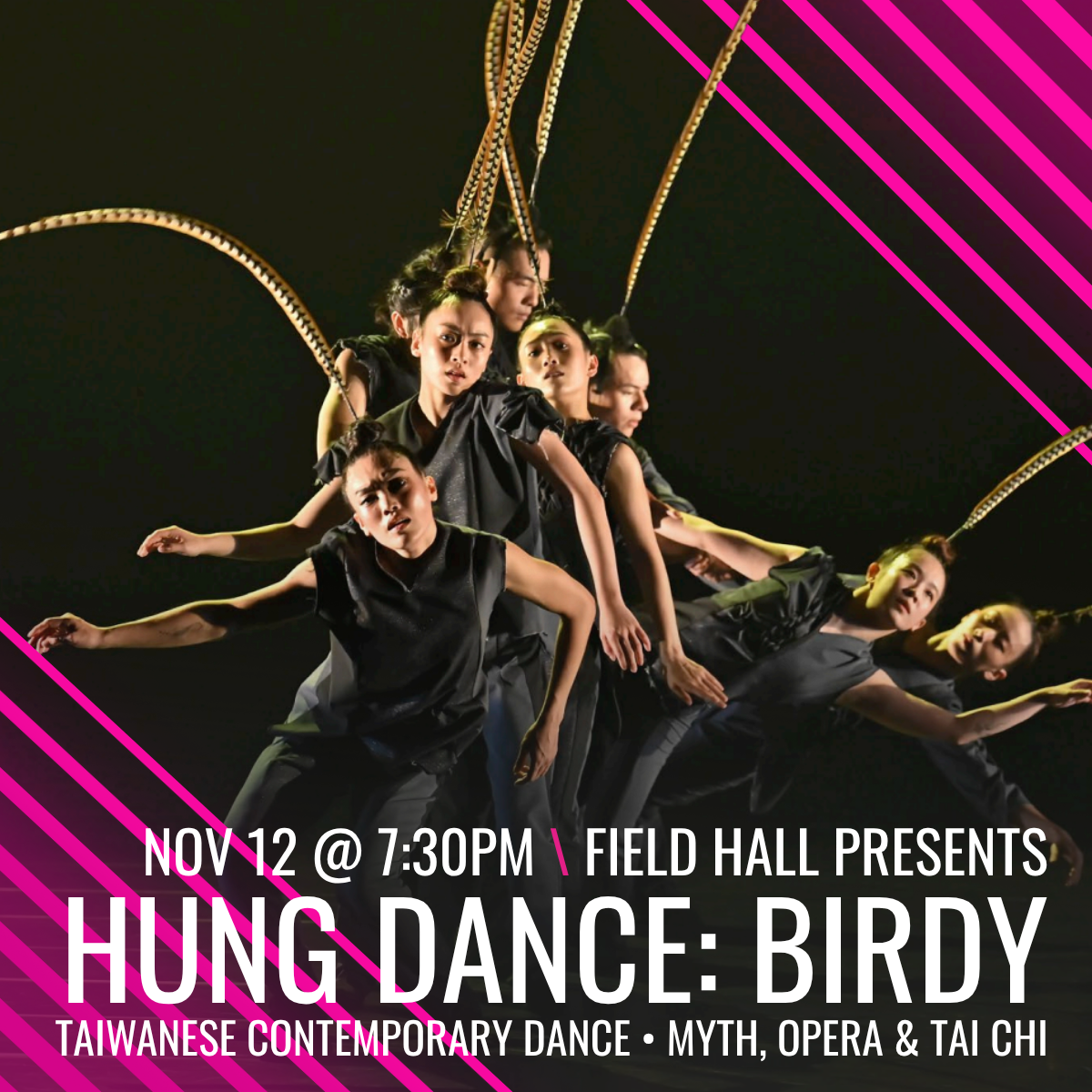 Hung Dance - Birdy at Gates Concert Hall