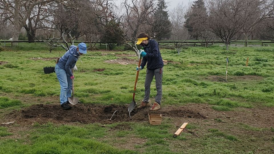 Historic Orchard Volunteer Day