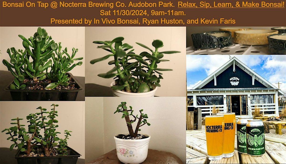 Bonsai on Tap at Nocterra Brewing Co - Relax, Sip, Learn, And Make a Bonsai