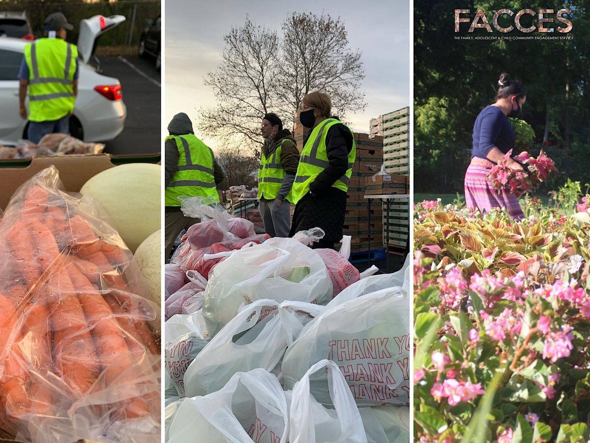 Volunteer at the FACCES Fresh Market!