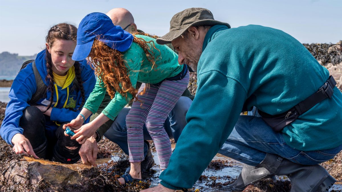 Coastal Connections BioBlitz