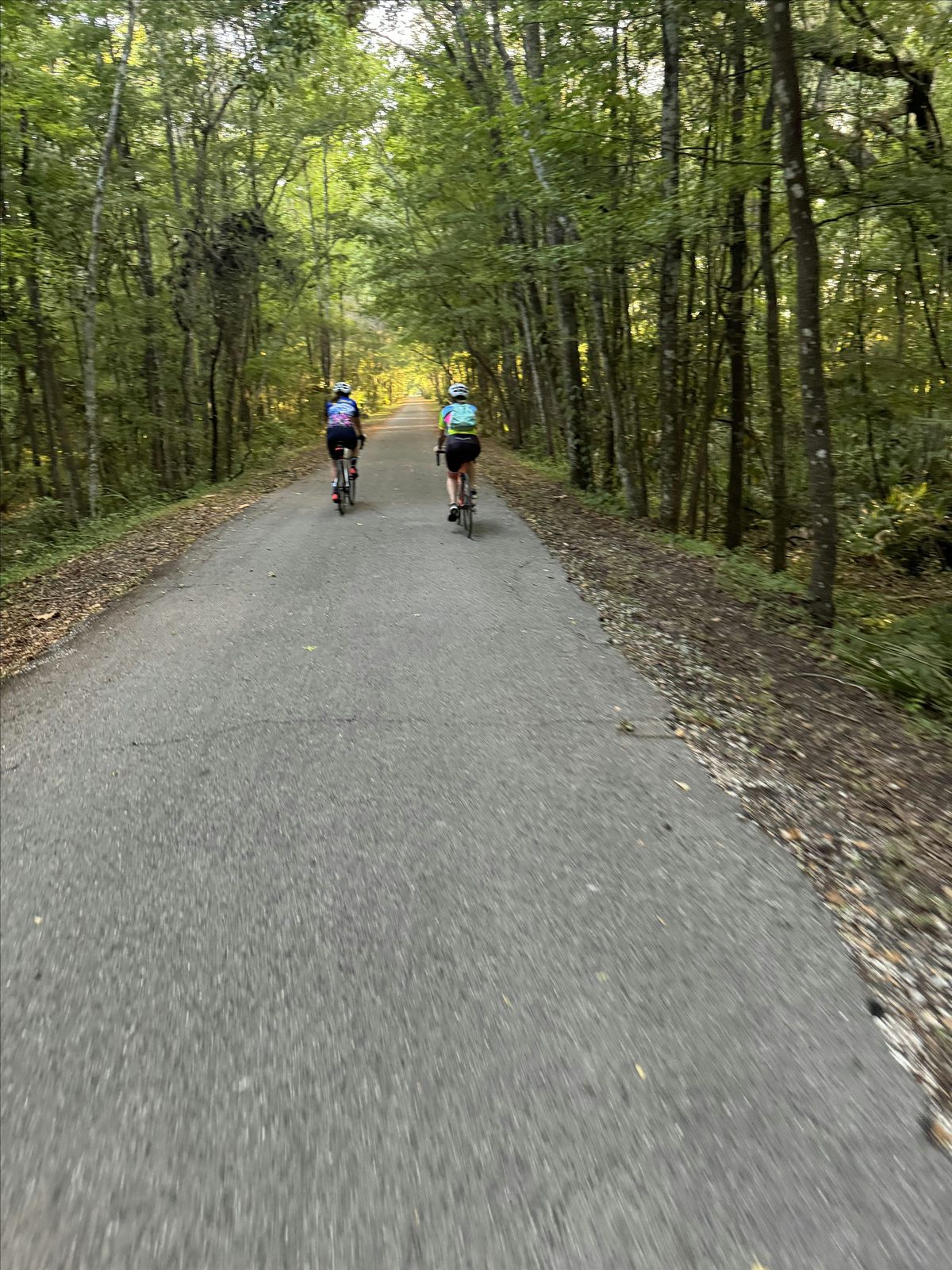 Tuesday Night Road Ride