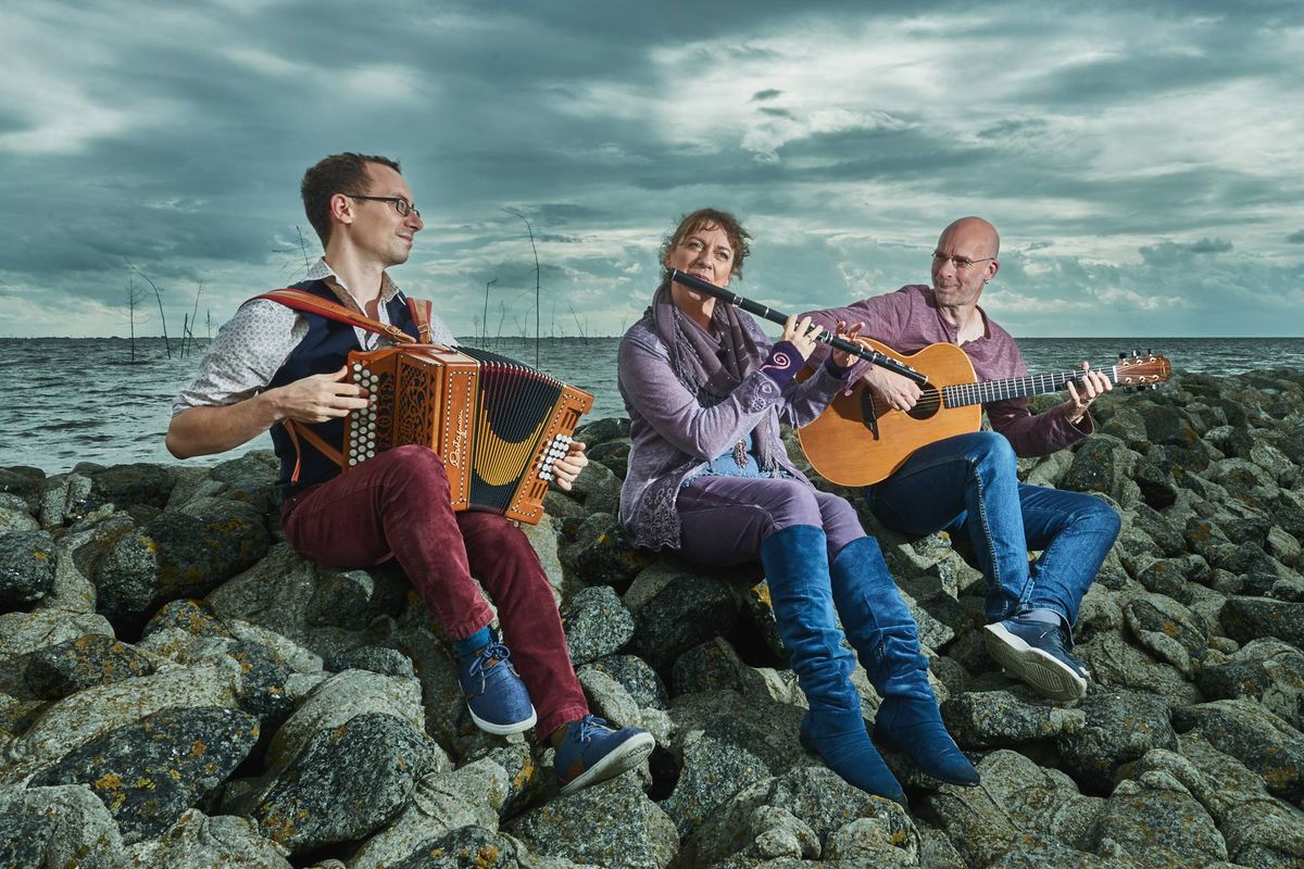 IONTACH : Irish Music Unlimited...