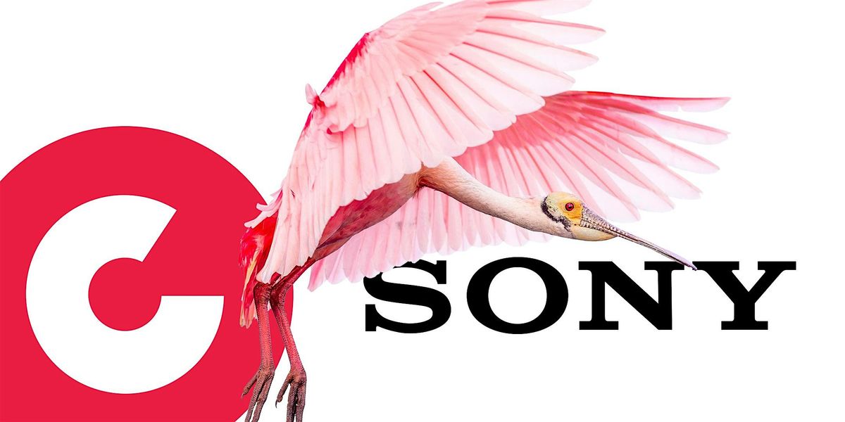 Sony Vortrag Hamburg: Das Sony ONE MOUNT