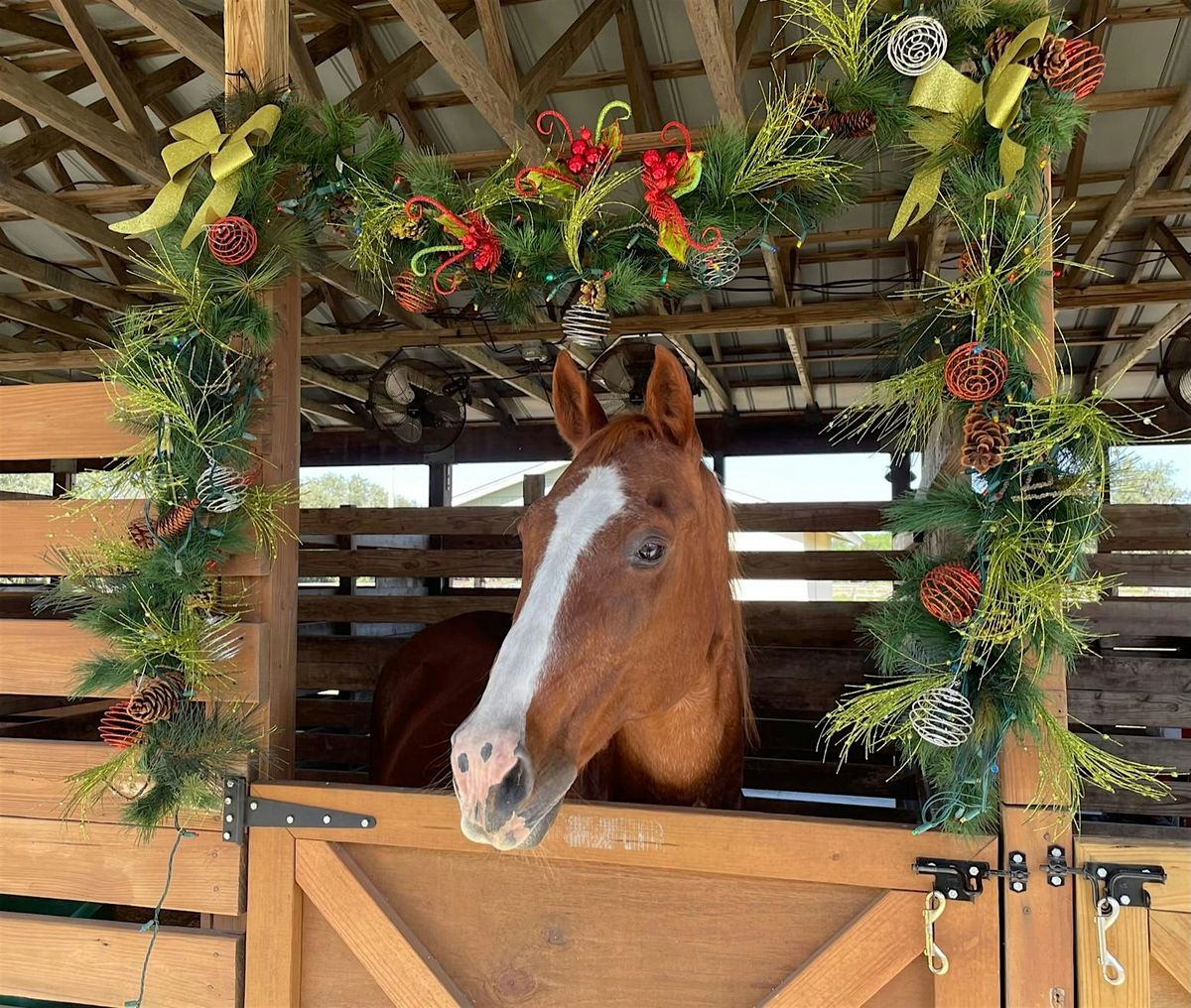 Easterseals Ranch  Open House