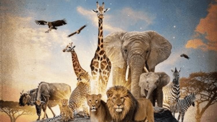 Serengeti: A Journey to the Heart of Africa Planetarium Show