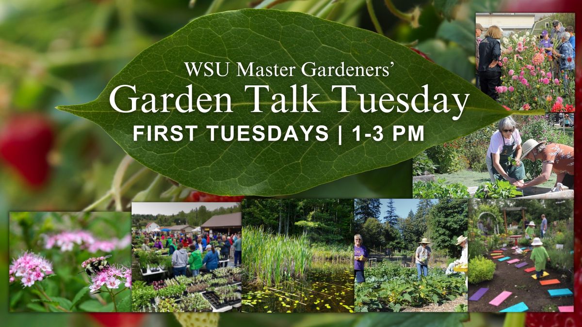 Garden Talk Tuesday