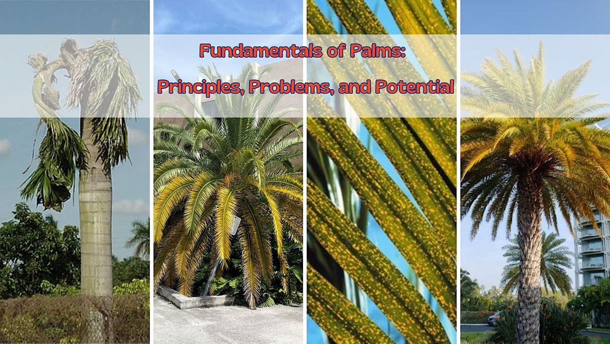 Fundamental of Palms:  Principles, Problems, and Potential