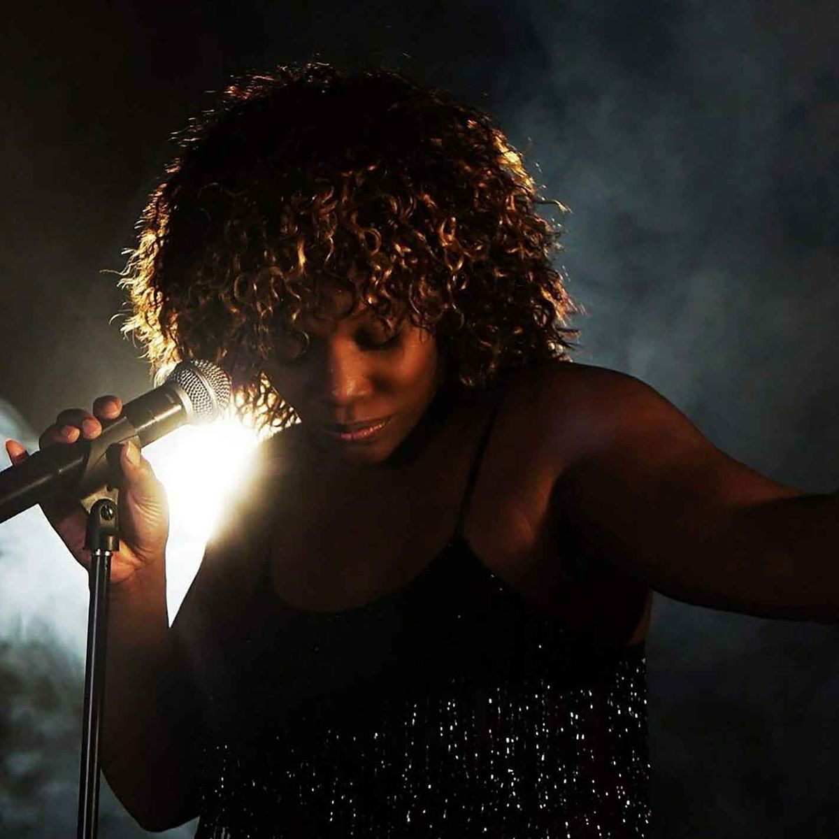 Tina Turner Tribute Night - Solihull 